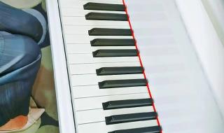 学不会简谱 学不会简谱